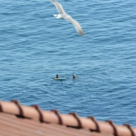 елени * Sozopol