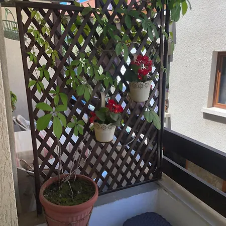 елени 3* Созополь