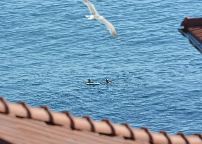 елени 3* Sosopol