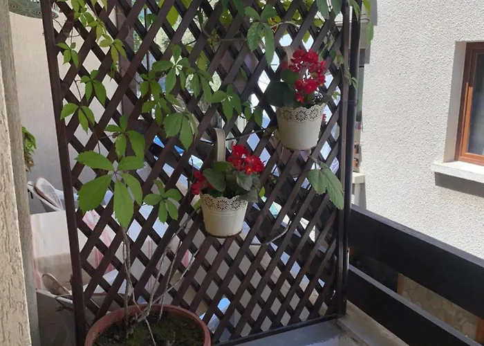 елени 3* Sozopol